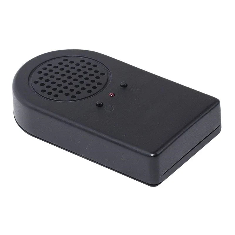 Fireplace Speaker