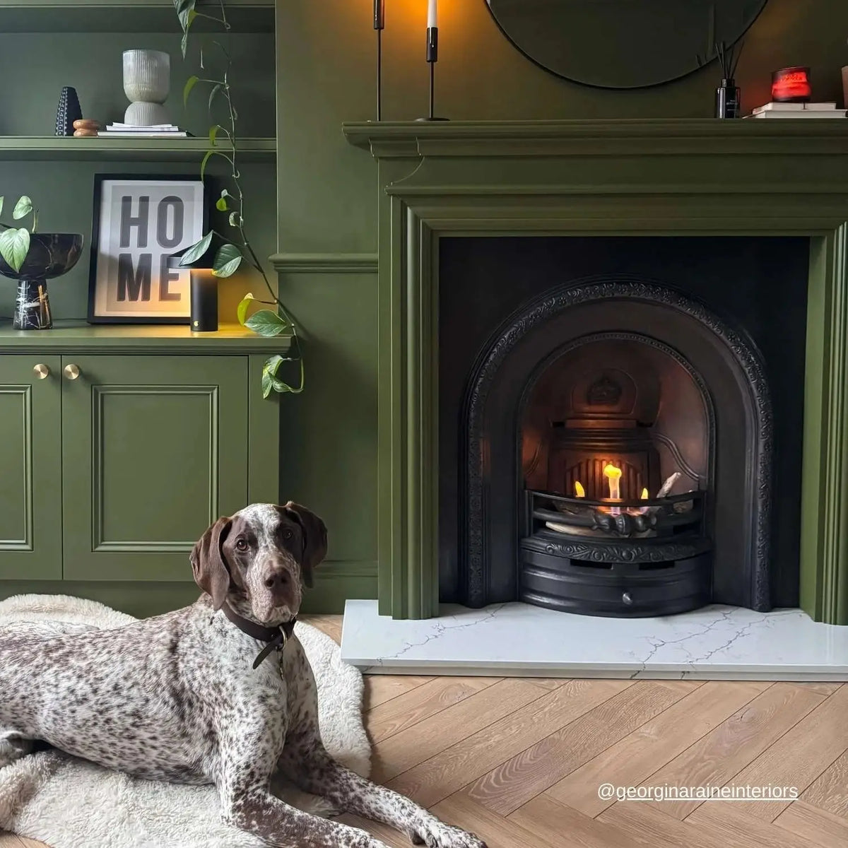 Deluxe Bio Burner 1,0L installed in a cast iron fireplace in a green living room with a dog in front