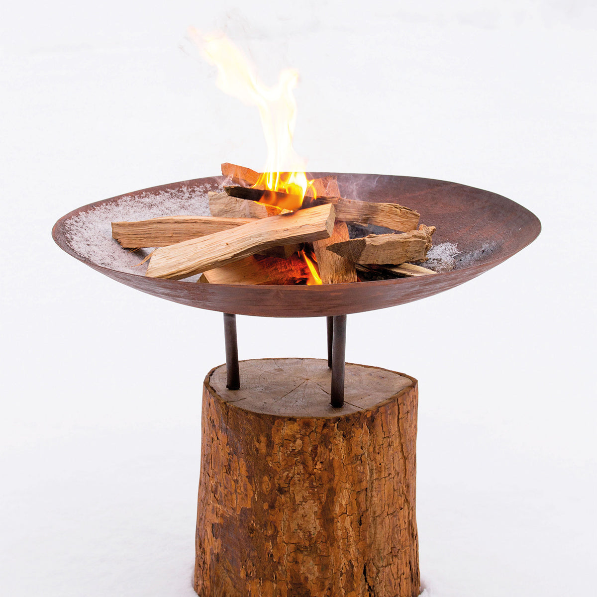Brasero en Acier Corten sur Souche d'Arbre