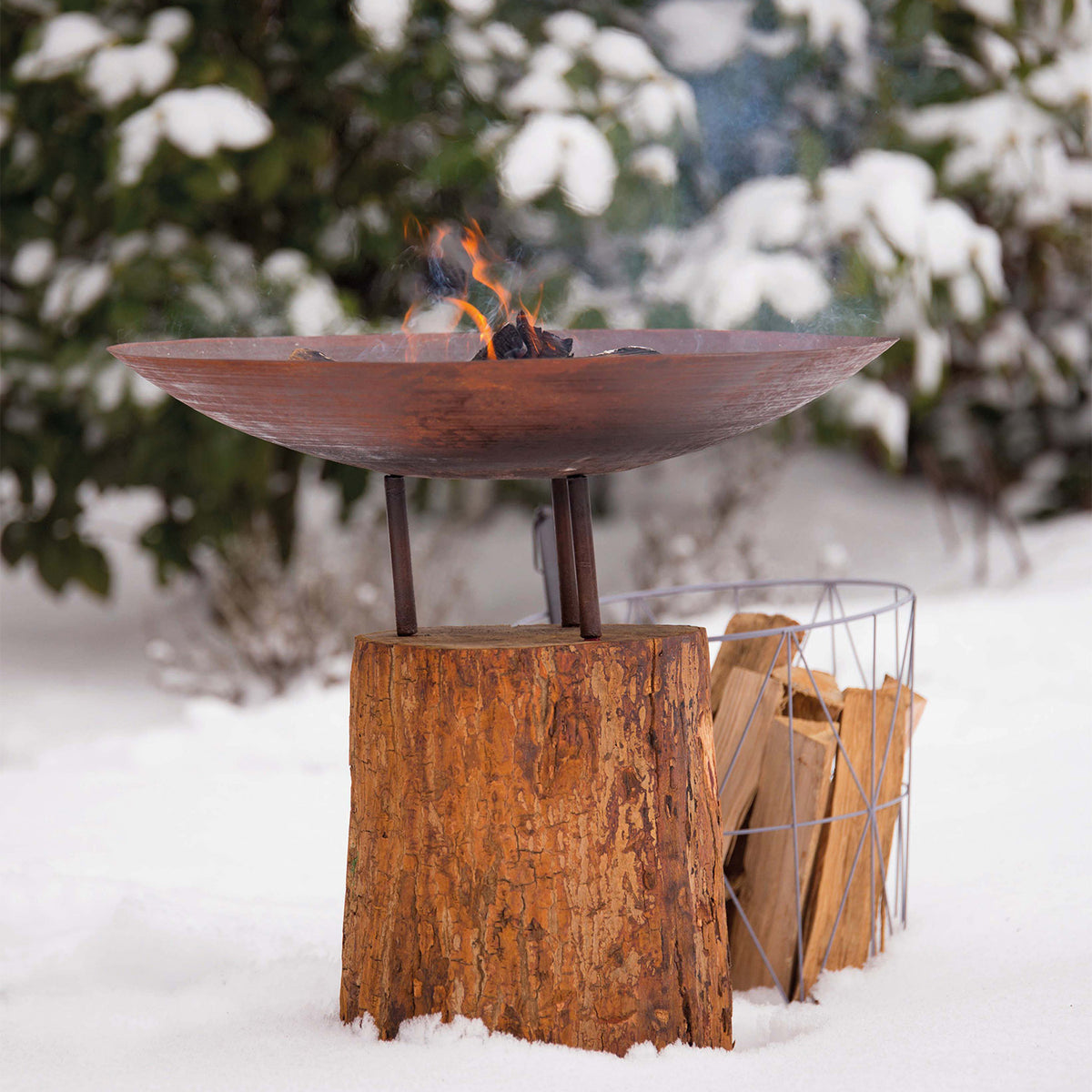 Brasero en Acier Corten sur Souche d'Arbre