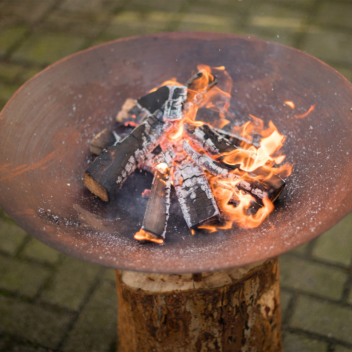 Brasero en Acier Corten sur Souche d'Arbre