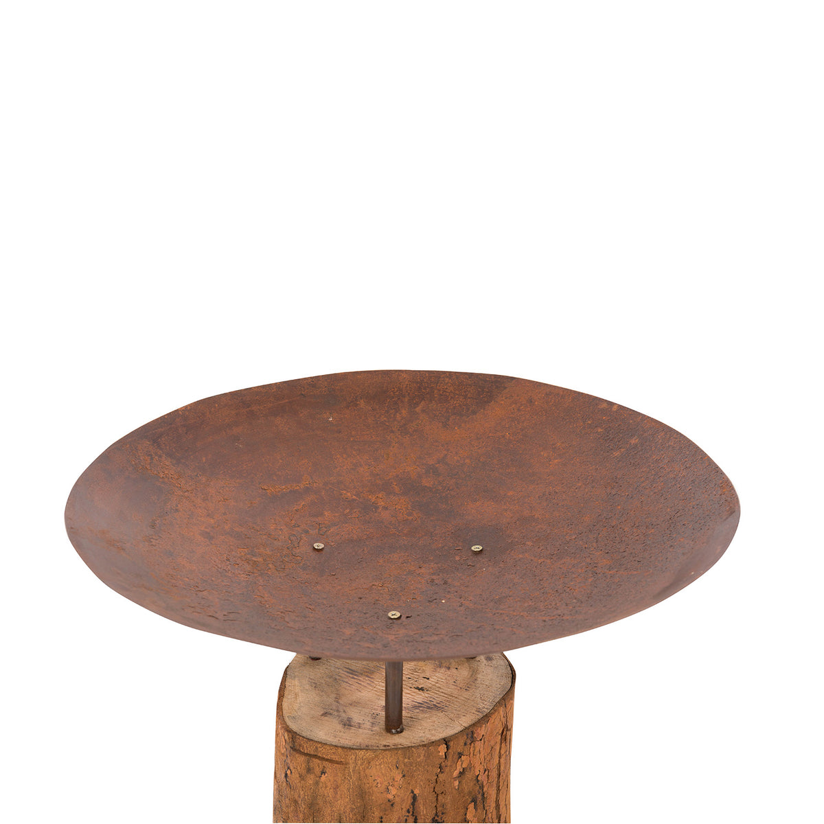 Brasero en Acier Corten sur Souche d'Arbre